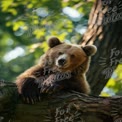 Majestic Brown Bear Relaxing on Tree Branch in Natural Habitat