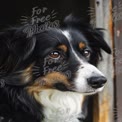 Close-Up of a Beautiful Black and White Dog with Expressive Eyes