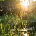 Serene Sunset Over Lush Greenery: Nature's Tranquil Landscape