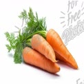 Fresh Organic Carrots with Green Tops on White Background