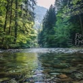 Tranquil Forest River: Serene Nature Landscape with Lush Greenery and Crystal Clear Water