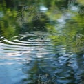 Tranquil Water Ripples: Nature's Reflection and Serenity