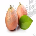 Fresh Pink Guava with Leaf on White Background - Tropical Fruit Concept