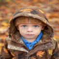 Adorable Child in Autumn Leaves: Capturing Fall Colors and Innocence