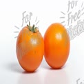 Fresh Orange Tomatoes with Water Droplets on White Background