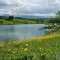 Tranquil Lake Landscape with Wildflowers and Mountains Under Cloudy Sky