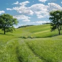 Serene Green Landscape with Rolling Hills and Blue Sky