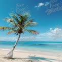 Tropisches Paradies: Ruhiger Strand mit Palme und klarem blauen Wasser