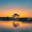 Serene Sunset Reflection Over Tranquil Waters with Silhouetted Tree