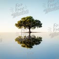 Serene Solitary Tree Reflection in Calm Water at Sunrise