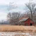 Abandoned Rustic Barn in Winter Landscape with Bare Trees and Tall Grass