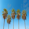 Sunny Tropical Paradise with Palm Trees Against Clear Blue Sky