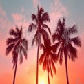 Tropical Sunset with Silhouetted Palm Trees