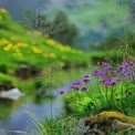 Serene Mountain Stream with Vibrant Wildflowers in Bloom