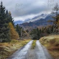 Scenic Mountain Road Through Autumn Forest Landscape