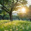 Serene Sunrise in Lush Green Park with Sunlight Filtering Through Trees