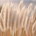 Soft Pampas Grass in Natural Light - Serene Nature Background