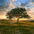 Majestic Sunset Over Solitary Tree in Lush Green Landscape