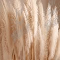 Elegant Pampas Grass Arrangement for Home Decor and Bohemian Style