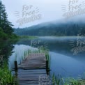 Tranquil Misty Lake with Wooden Dock and Lush Greenery