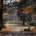 Tranquil Autumn Park Scene with Bench by the Water