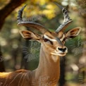 Majestic Antelope Portrait in Natural Habitat - Wildlife Photography