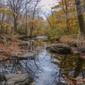 Tranquil Autumn Stream with Colorful Foliage Reflections