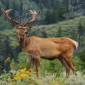 Veado Majestoso na Selva Luxuriante: A Beleza da Natureza e a Conservação da Vida Selvagem