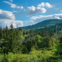 Serene Mountain Landscape with Lush Green Forest and Blue Sky