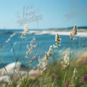 Serene Coastal Landscape with Wild Grasses and Tranquil Ocean View