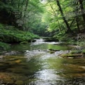 Tranquil Forest Stream: Serene Nature Landscape with Lush Greenery and Clear Water