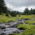 Tranquil Mountain Stream in Lush Green Landscape with Dramatic Cloudy Sky