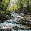 Tranquil Forest Stream: Serene Nature Waterfall in Lush Green Woods