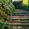 Serener Gartenweg: Üppige, mit Efeu bedeckte Stufen in der Natur