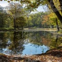 Tranquil Autumn Reflections: Serene Lake Surrounded by Colorful Fall Foliage