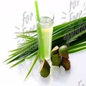 Refreshing Natural Drink with Pandan Leaves and Ice - Tropical Beverage Concept