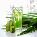 Refreshing Green Drink with Ice and Fresh Pandan Leaves