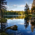 Tranquil Forest Lake Reflection: Serene Nature Landscape