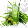 Refreshing Green Herbal Drink with Fresh Lemongrass and Ice