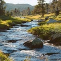 Tranquil Mountain Stream Flowing Through Lush Green Landscape