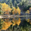 Autumn Reflections: Vibrant Fall Foliage and Serene Lake Landscape