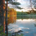 Tranquil Forest Reflection: Serene Lake at Sunset