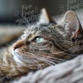 Close-Up of a Relaxed Tabby Cat with Striking Green Eyes