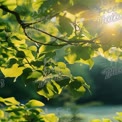 Sunlit Green Leaves: Nature's Serenity and Freshness