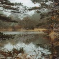 Tranquil Misty Lake Surrounded by Lush Forest in Autumn