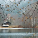 Serene Autumn Reflection: Tranquil Lake with Rustic Cabin and Bare Trees