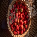 Fresh Organic Strawberries in a Rustic Basket - Healthy Eating and Farm-to-Table Concept