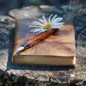 Nature-Inspired Writing: Vintage Journal with Pen and Daisy on Rustic Wood