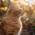 Majestic Ginger Cat in Golden Autumn Light