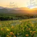 Serene Sunset Over Rolling Hills with Wildflowers in Bloom